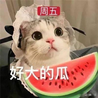 娱乐吃瓜网名女生两个字,揭秘网名“女生两个字”背后的故事