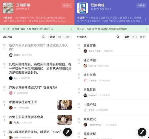 娱乐吃瓜798网址在线观看,在线观看热门八卦新动态
