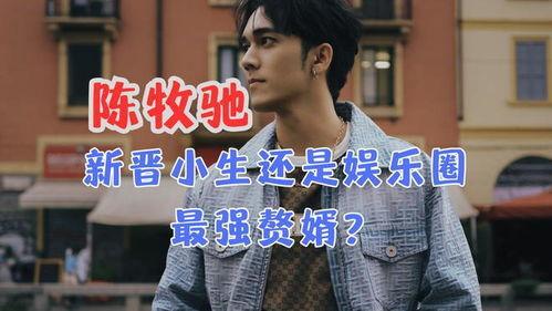 陈牧驰娱乐圈吃瓜,从爆红到争议，揭秘明星背后的故事