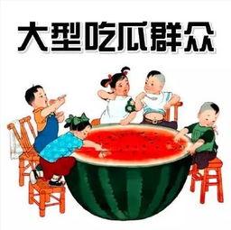 吃瓜娱乐交通规则,罚款扣分全解析