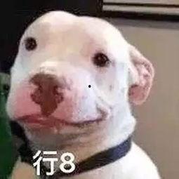 微信公众号娱乐圈吃瓜,揭秘热门八卦背后的故事