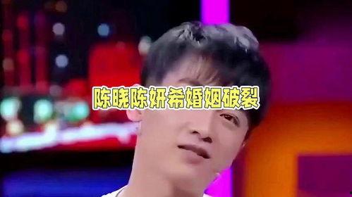 八卦吃瓜娱乐圈陈晓是谁,娱乐圈的焦点人物，八卦背后的真相